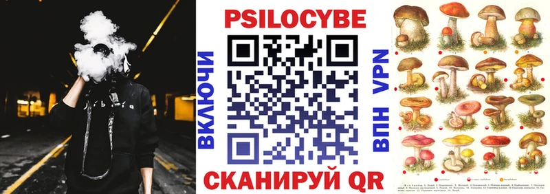 где купить наркоту  Судак  Галлюциногенные грибы ЛСД 